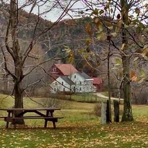 Meet your Posher, Brenda