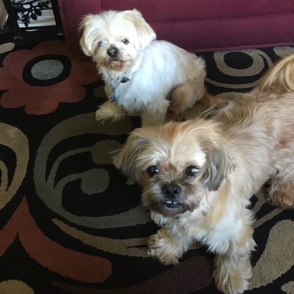 Meet your Posher, Sharon