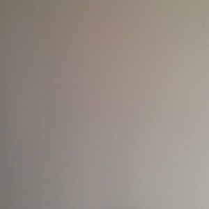 Meet your Posher, Kenny