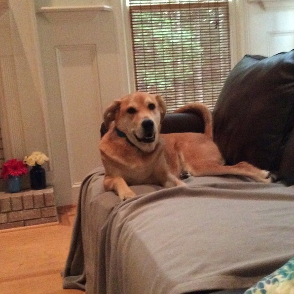 Meet your Posher, Melissa