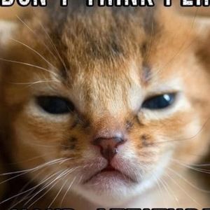 Meet your Posher, Katelyn