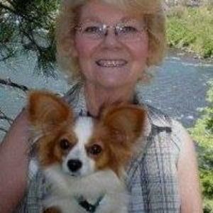 Meet your Posher, Paula