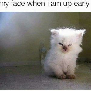 Meet your Posher, Kendra