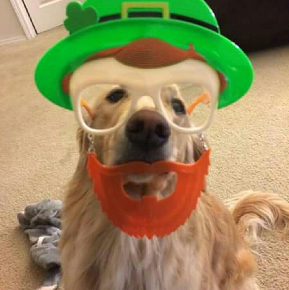 Meet your Posher, Crystal