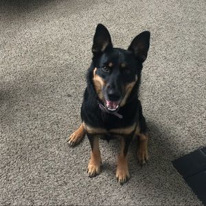 Meet your Posher, Anette