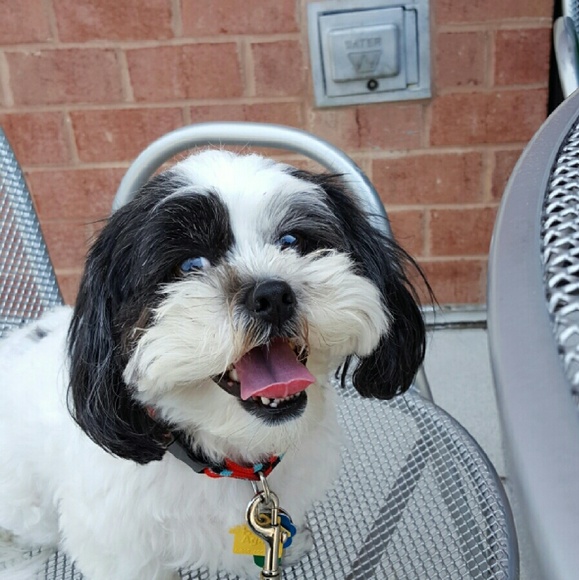 Meet your Posher, Maria - Picture 2 of 16