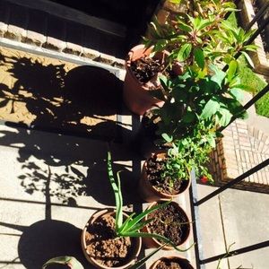 Meet your Posher, Robert