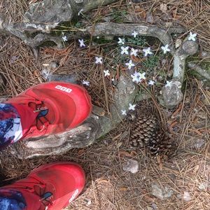 Meet your Posher, Kathryn