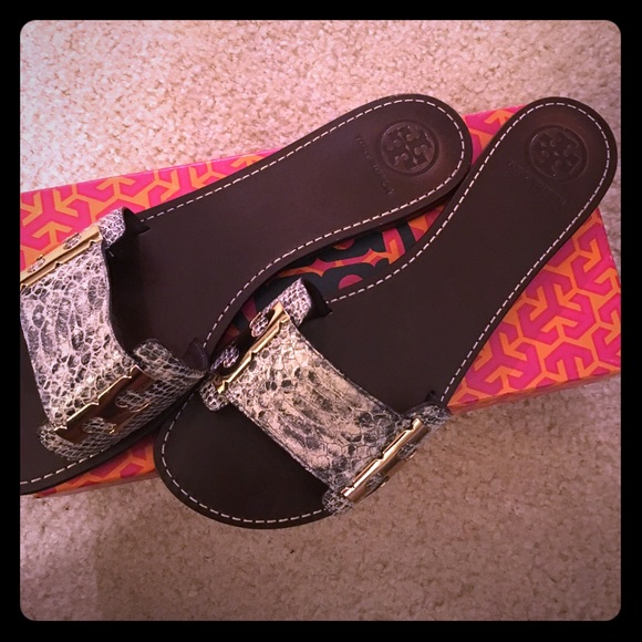Tory Burch grey snake slides.