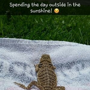 Left for the weekend!! No shipping until Monday!!!