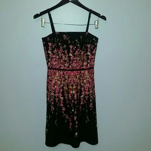 Ann Taylor Loft Petite 2P