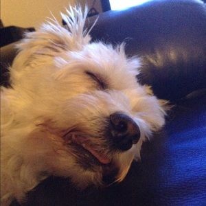 Meet your Posher, Brian