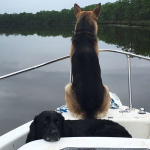 Meet your Posher, April