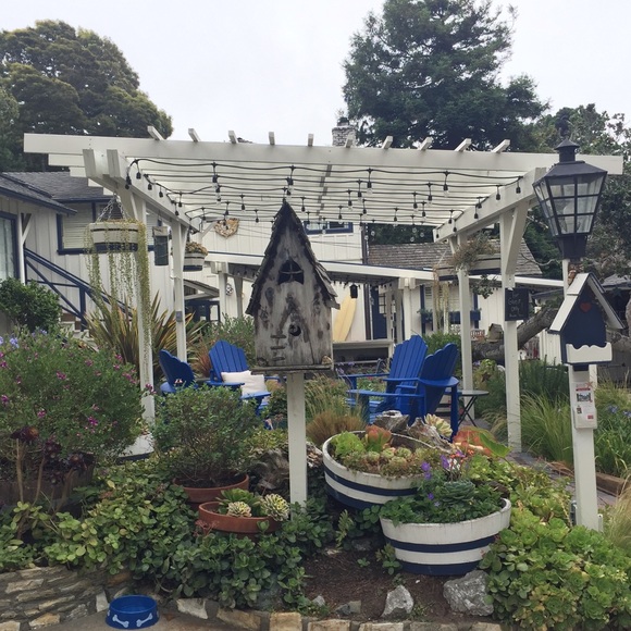 Meet your Posher - Picture 4 of 4