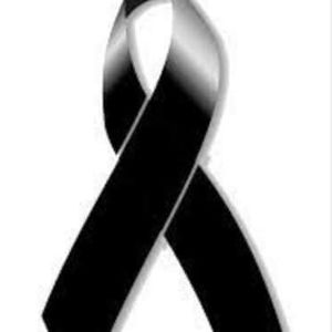 Meet your Posher, Eli