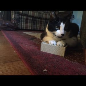 Meet your Posher, Brooke