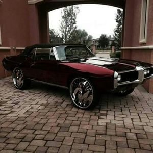 Meet your Posher, Rose