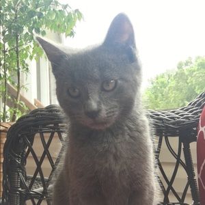 Meet your Posher, Cory