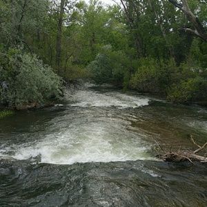 Meet your Posher, Camille