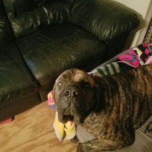 Meet your Posher, Doris