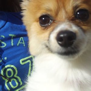 Meet your Posher, Carmen