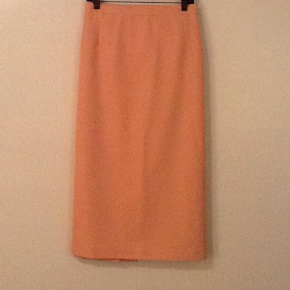 Plus Size Suit w/Skirt - Picture 3 of 3