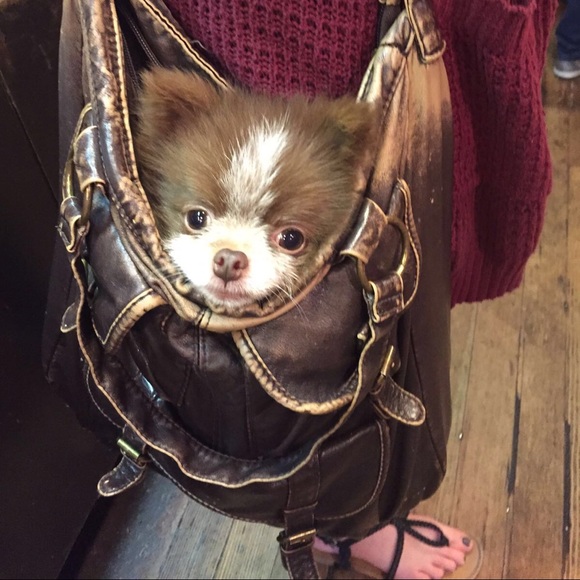 Meet your Posher, Prerna