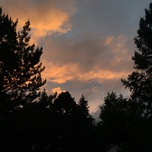 Meet your Posher, Anika