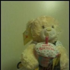 Meet your Posher, Josie