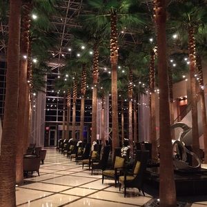 Meet your Posher, Anne