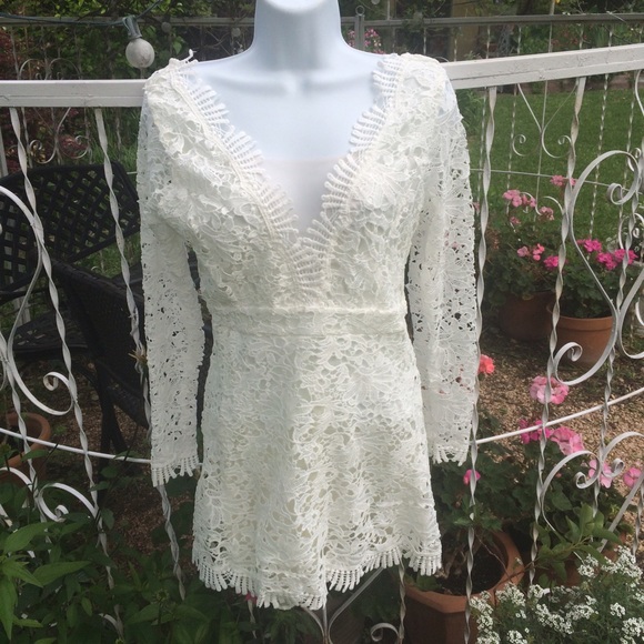 LAST ONE🔹Crown of Thorns🔹LOWEST - Picture 2 of 3