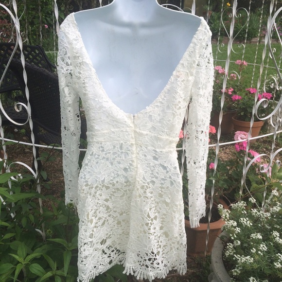 LAST ONE🔹Crown of Thorns🔹LOWEST - Picture 3 of 3