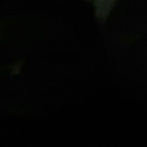 Meet your Posher, Malorie