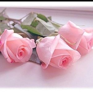 Meet your Posher, Nevriye