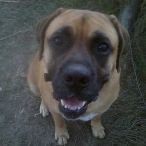 Meet your Posher, Pam