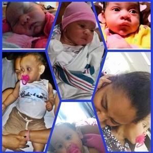 Meet your Posher, Dory