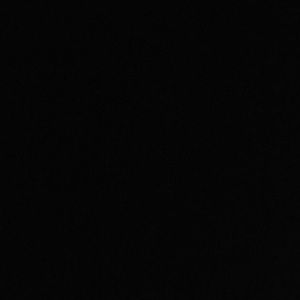 Meet your Posher, Lexi