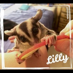 Meet your Posher, Ingela