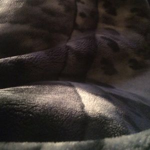 Meet your Posher, Beatrice