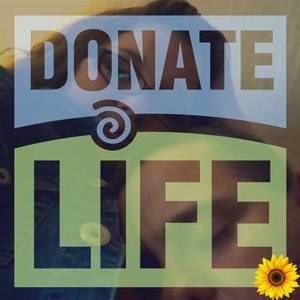 Meet your Posher, Frances