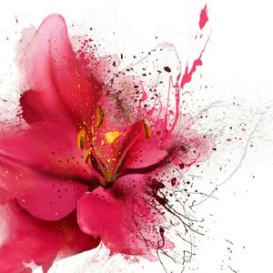 Meet your Posher, Meyana