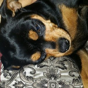 Meet your Posher, Joanna