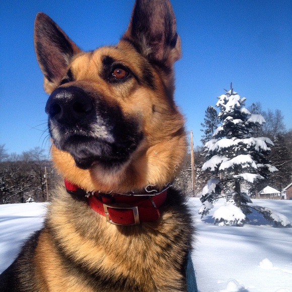 Meet your posher, Michaela! - Picture 3 of 4