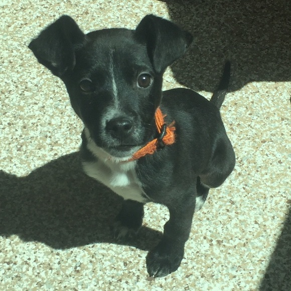 Meet your Posher, Marissa