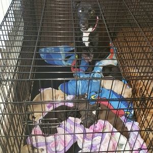 Meet your Posher, Jaynel