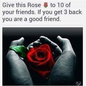 Meet your Posher, Robbie