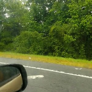 Meet your Posher, Onilda