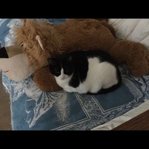 Meet your Posher, Alana