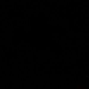 Meet your Posher, Tonya