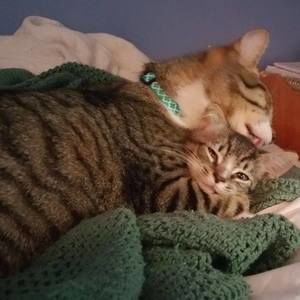 Meet your Posher, Marianne